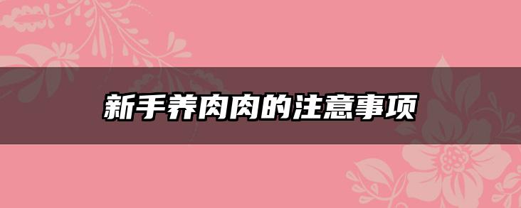 新手养肉肉的注意事项