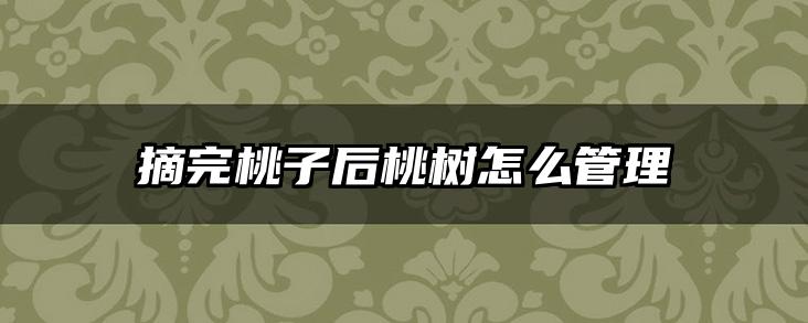 摘完桃子后桃树怎么管理
