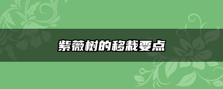 紫薇树的移栽要点
