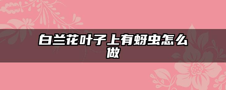 白兰花叶子上有蚜虫怎么做