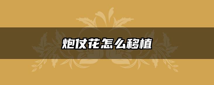 炮仗花怎么移植