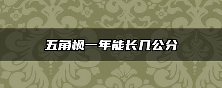 五角枫一年能长几公分