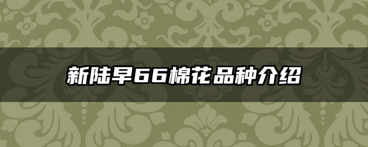新陆早66棉花品种介绍