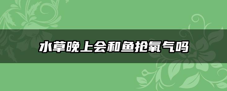 水草晚上会和鱼抢氧气吗