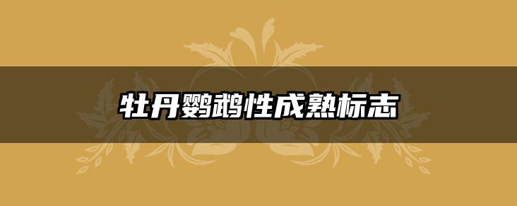 牡丹鹦鹉性成熟标志