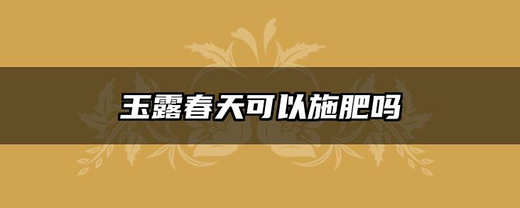 玉露春天可以施肥吗