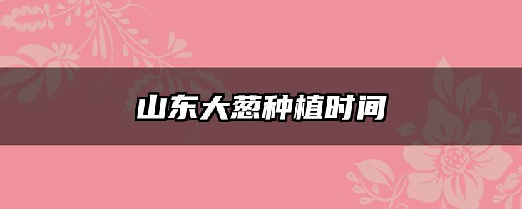 山东大葱种植时间