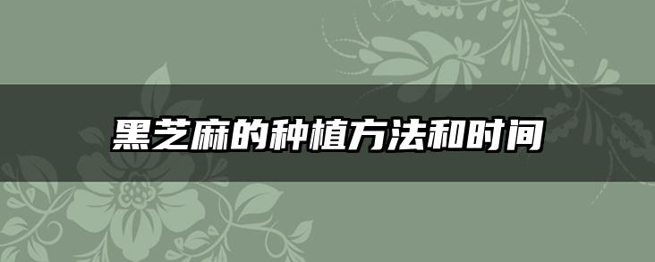 黑芝麻的种植方法和时间