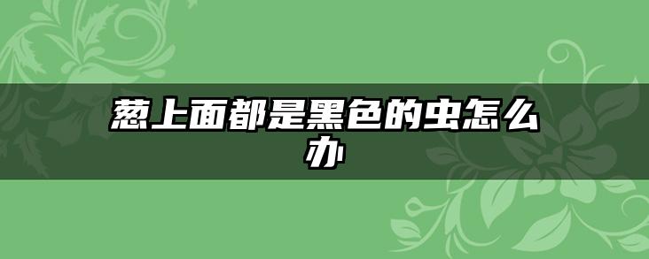 葱上面都是黑色的虫怎么办