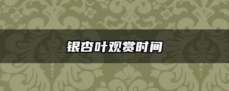 银杏叶观赏时间