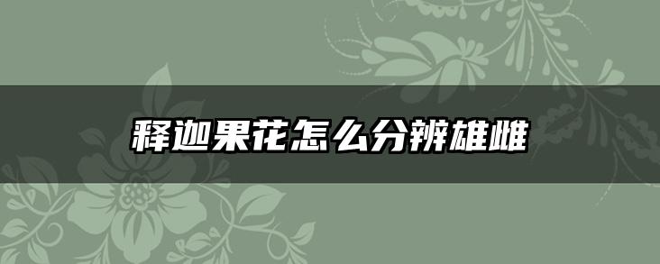 释迦果花怎么分辨雄雌