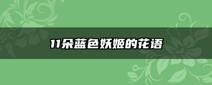 11朵蓝色妖姬的花语