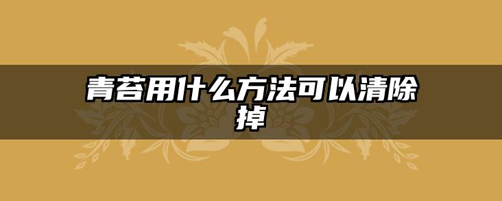 青苔用什么方法可以清除掉
