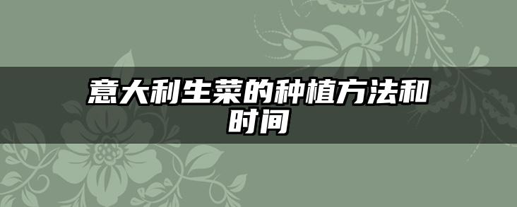 意大利生菜的种植方法和时间