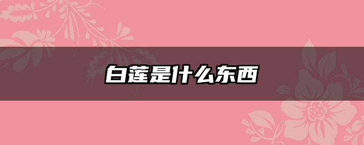 白莲是什么东西