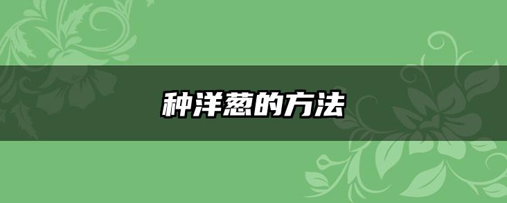 种洋葱的方法