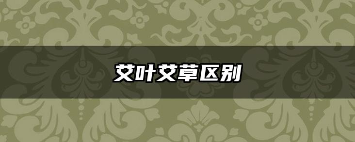 艾叶艾草区别