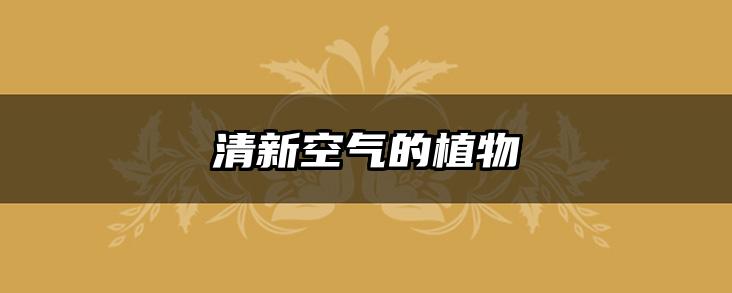 清新空气的植物
