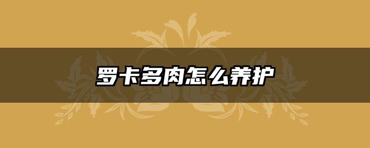 罗卡多肉怎么养护