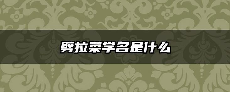劈拉菜学名是什么