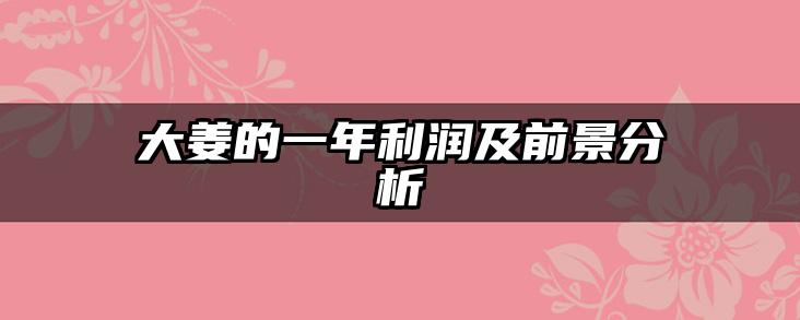 大姜的一年利润及前景分析
