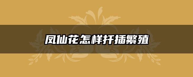 凤仙花怎样扦插繁殖