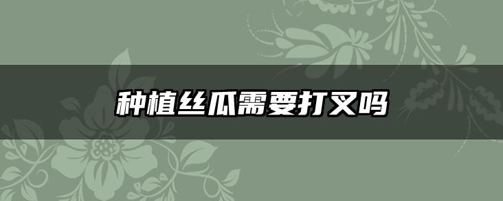 种植丝瓜需要打叉吗