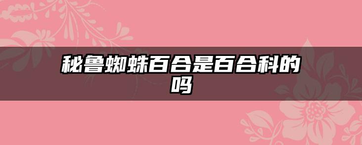 秘鲁蜘蛛百合是百合科的吗