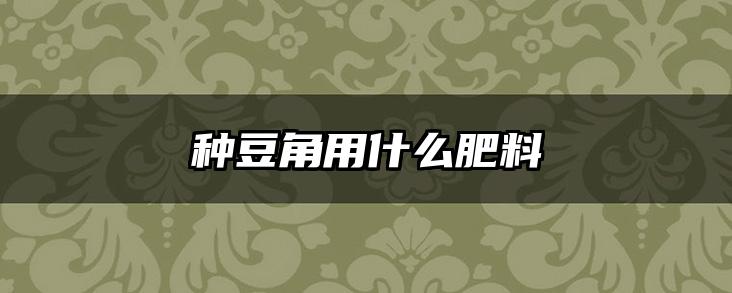 种豆角用什么肥料