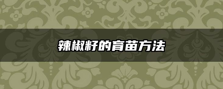辣椒籽的育苗方法