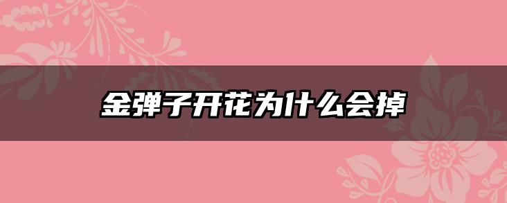 金弹子开花为什么会掉