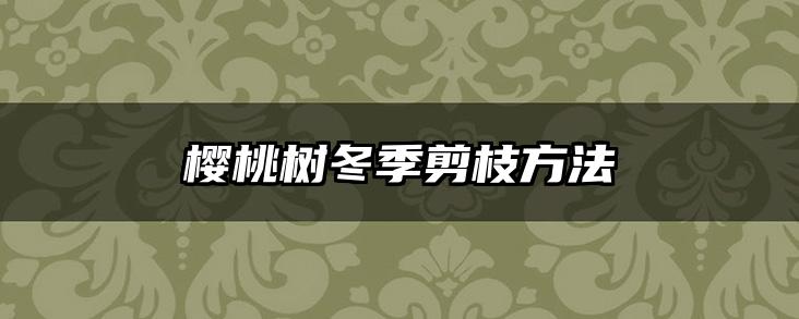 樱桃树冬季剪枝方法