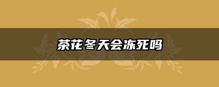 茶花冬天会冻死吗