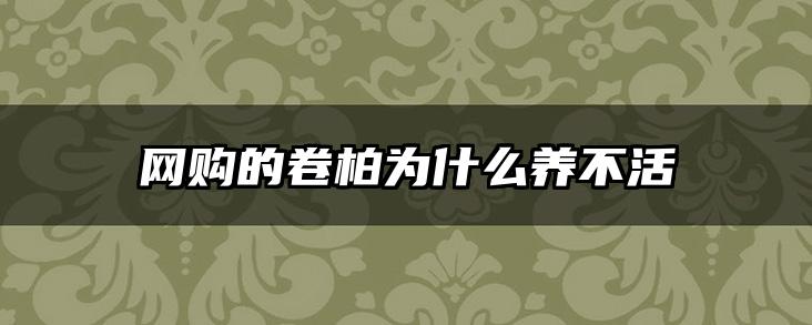 网购的卷柏为什么养不活