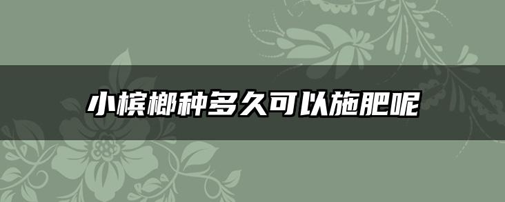 小槟榔种多久可以施肥呢