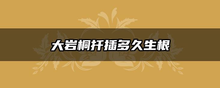大岩桐扦插多久生根