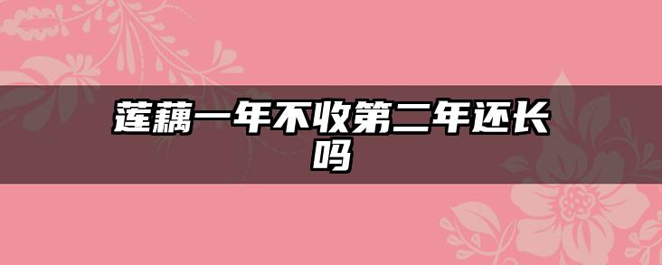 莲藕一年不收第二年还长吗