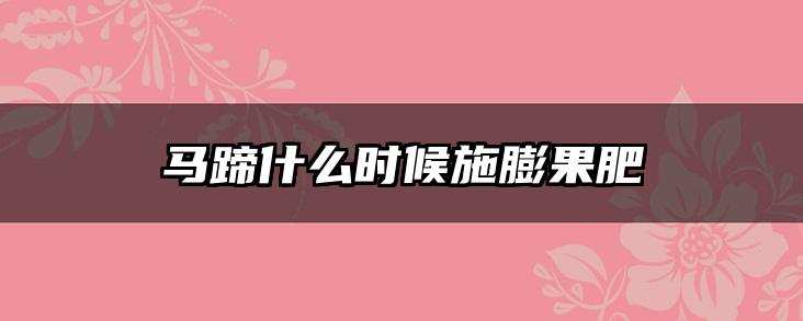 马蹄什么时候施膨果肥