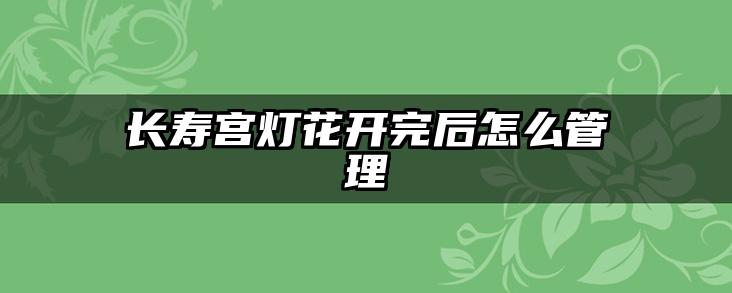 长寿宫灯花开完后怎么管理