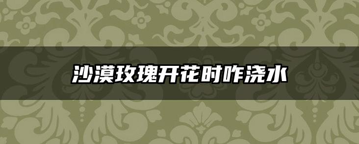 沙漠玫瑰开花时咋浇水