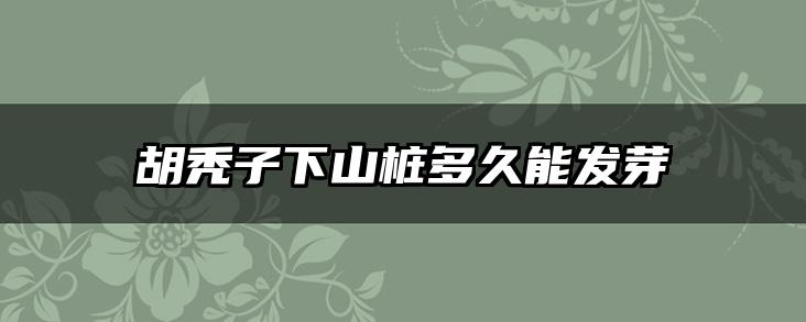 胡秃子下山桩多久能发芽