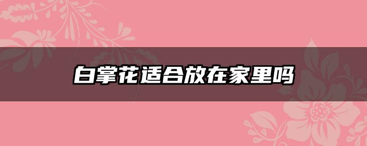 白掌花适合放在家里吗