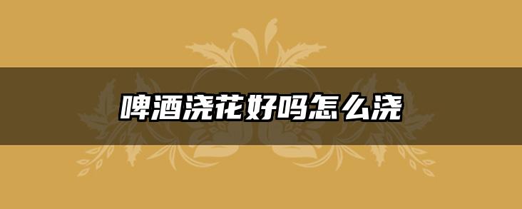 啤酒浇花好吗怎么浇