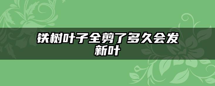 铁树叶子全剪了多久会发新叶