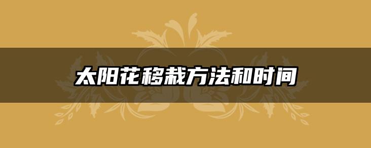 太阳花移栽方法和时间
