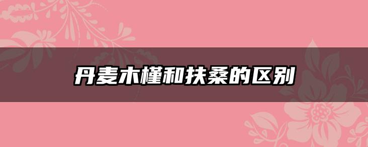 丹麦木槿和扶桑的区别