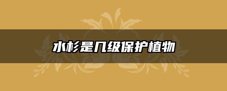 水杉是几级保护植物