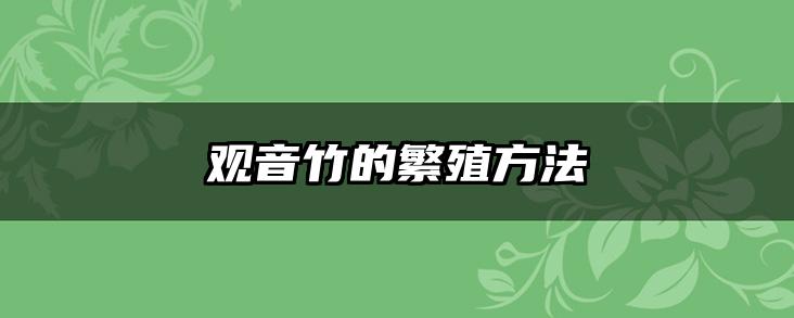 观音竹的繁殖方法