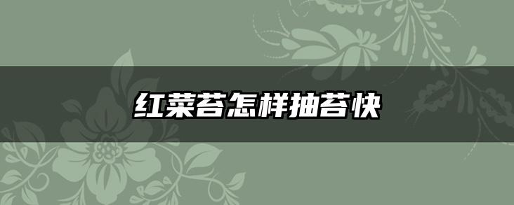 红菜苔怎样抽苔快