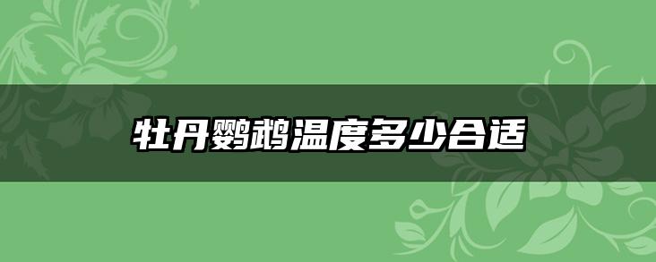 牡丹鹦鹉温度多少合适